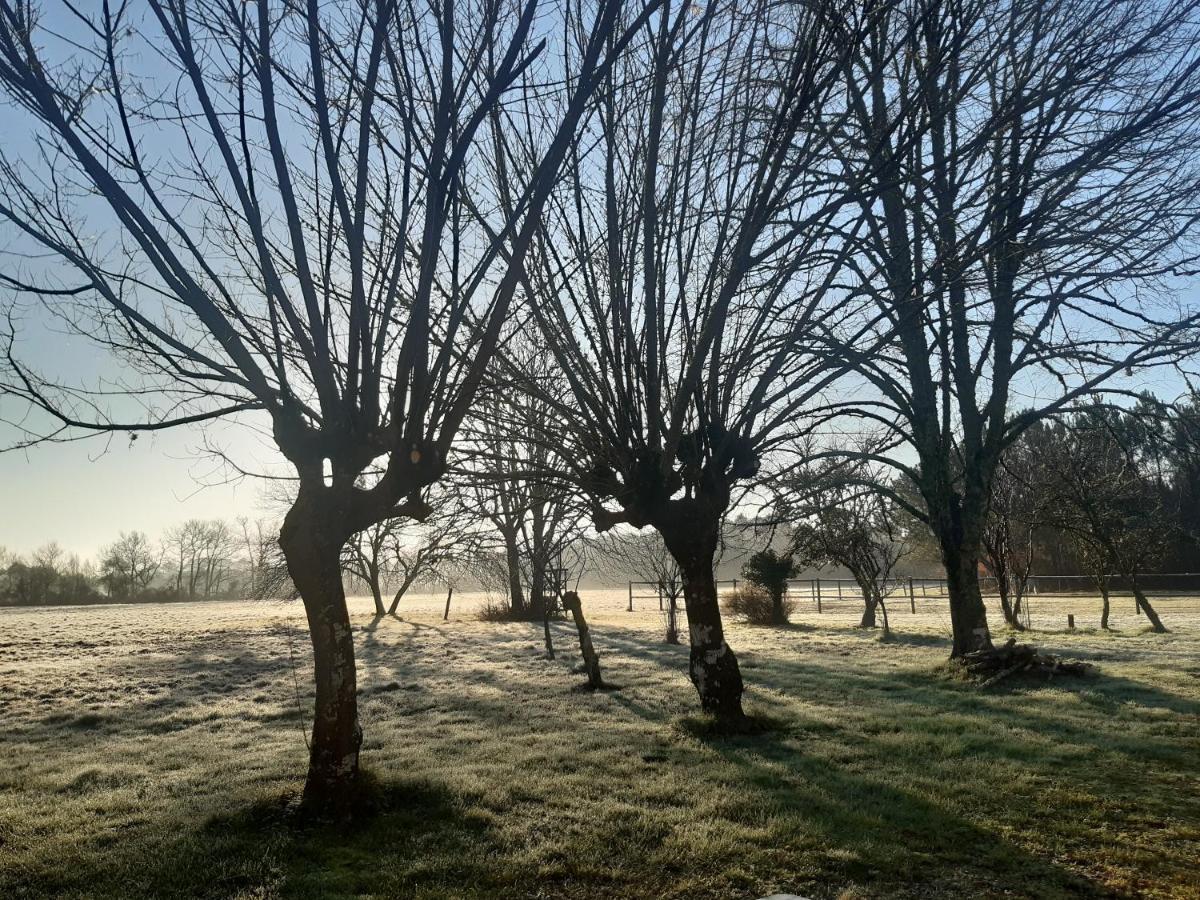 Domaine De L'Escuderia Ξενοδοχείο Parentis-en-Born Εξωτερικό φωτογραφία